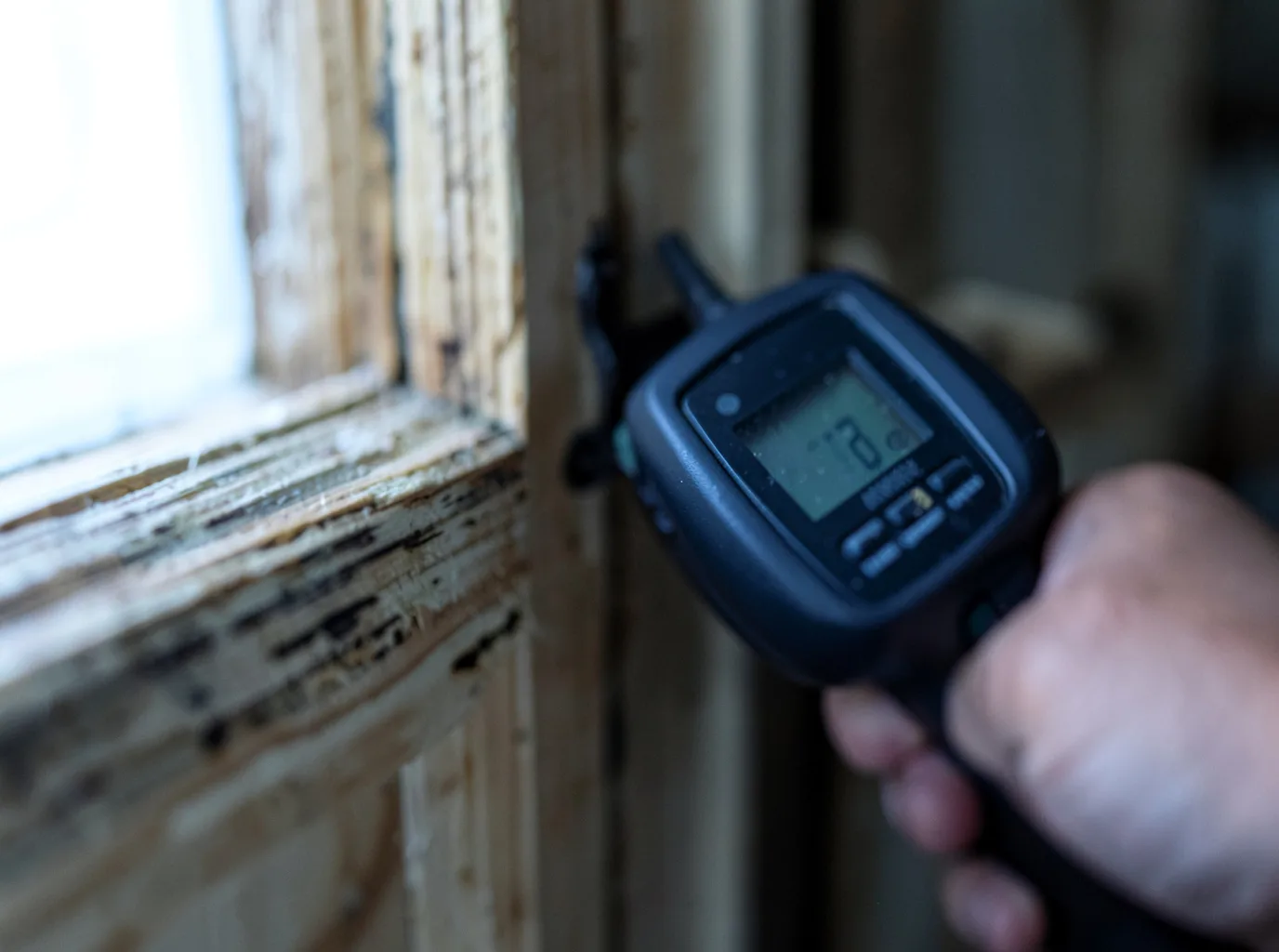 Moisture Inspection And Documentation in Mount Holly, VT